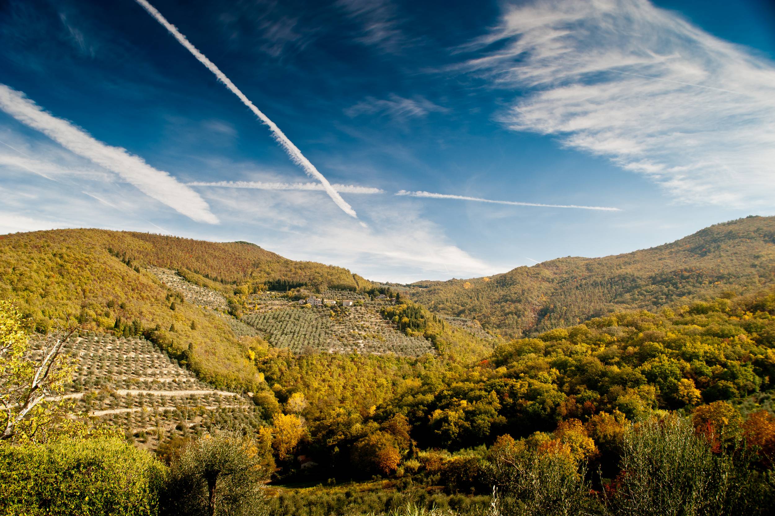Fattoria di Volmiano